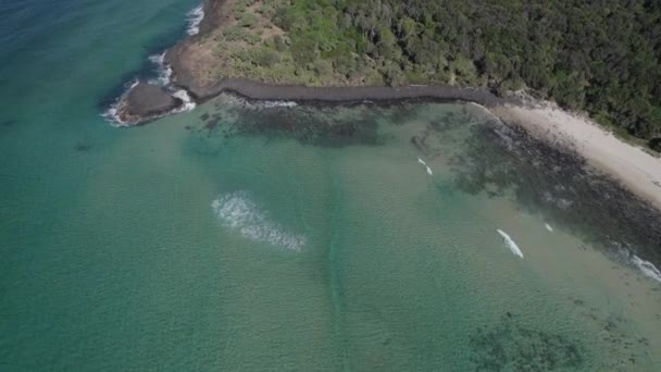 Vue Haut Fingal Head Beach Causeway Avec Des Eaux Bleues — Video
