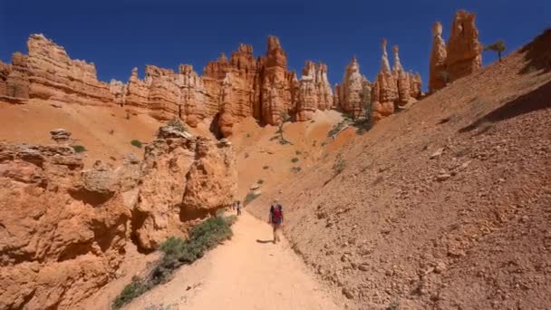 Jong Meisje Wandelend Tussen Hoodoos Bryce Canyon Utah — Stockvideo