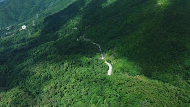 Dynamický Letecký Snímek Klikatých Silnic Které Pokrývají Stromy Pohoří Tai — Stock video