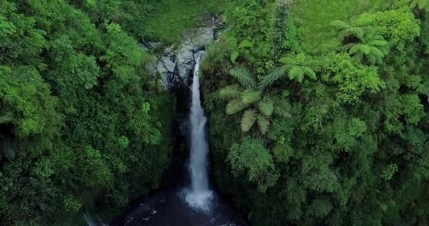 Sliding Drone Shot Idyllic Waterfall Middle Jungle Trees Grass Morning — Vídeos de Stock