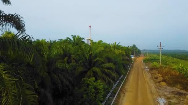 落日期间在棕榈树环抱的丛林中进行石油勘探开发的陆上钻井和修井结构及钻机设备的电影摄影机射击 — 图库视频影像