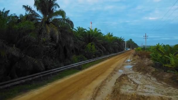 Gün Batımında Ormanın Ortasında Palmiye Yağı Ağaçlarıyla Çevrili Petrol Arama — Stok video