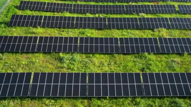 Aves Aéreas Olho Tiro Muitos Painéis Solares Iluminação Pelo Sol — Vídeo de Stock