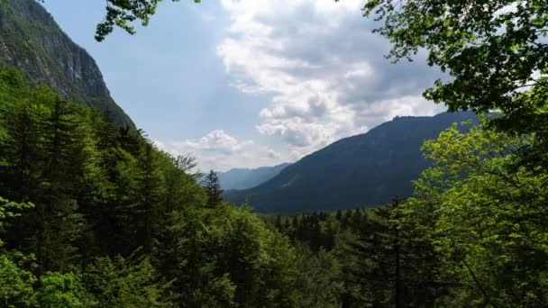 Time Lapse Clouds Mountain Range Seen Trough Trees Triglav National — Stockvideo