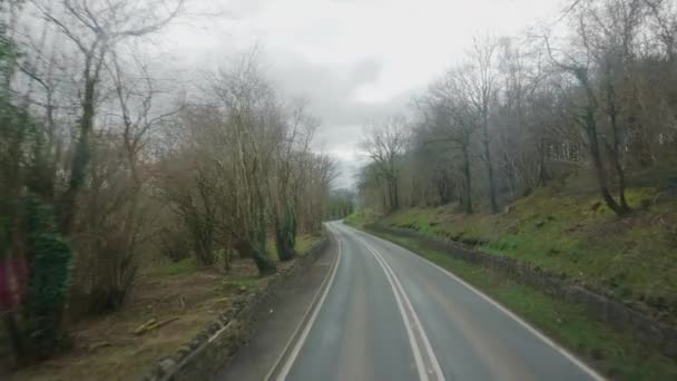 Pov Vehicle Driving Empty Road Leafless Trees Overcast Day — Vídeo de stock