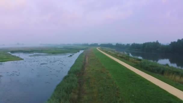 Hollanda Nın Nijkerk Şehrinde Arkemheen Polder Üzerinde Uçan Kuş Sürüsü — Stok video