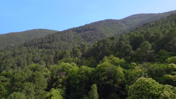 Γαλλικά Δασικούς Λόφους Στη Γαλλική Ύπαιθρο Εναέρια Dolly Flyover Shot — Αρχείο Βίντεο