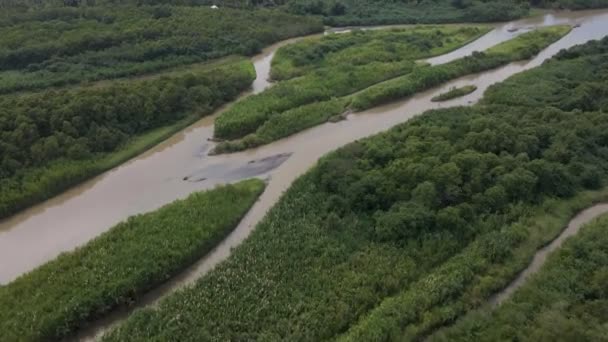 Wetlands Surrounding Rio Cotos Western Costa Rica High Angle Flyover — Stock Video