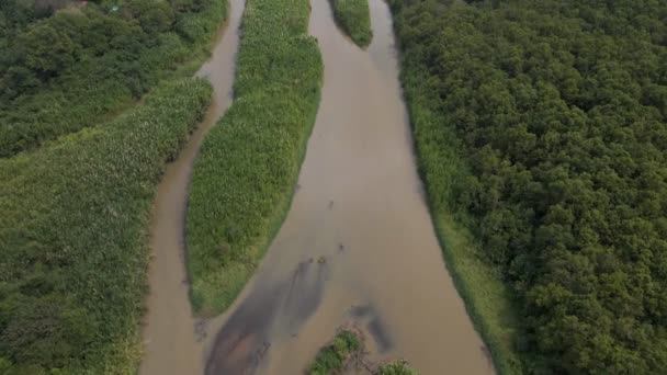 ปภาพทางอากาศของ Cotos าในคอสตาร งอย ใกล Chepito และใกล Quebrada Calicanto — วีดีโอสต็อก