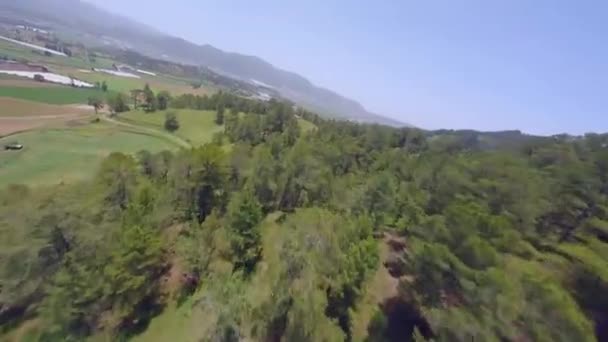 Campos Verdes Plantações Cidade Constanza República Dominicana Fpv Aéreo — Vídeo de Stock