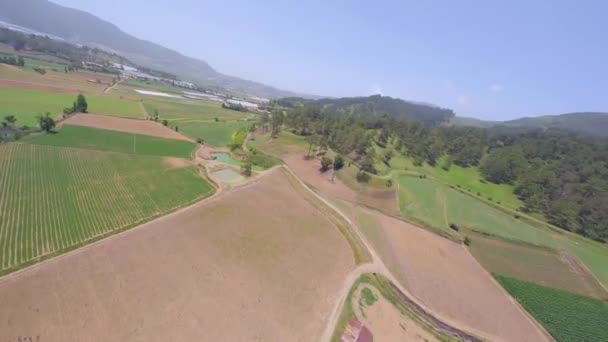 Gröna Fält Och Grönskande Vegetation Constanza Dominikanska Republiken Antenn Fpv — Stockvideo