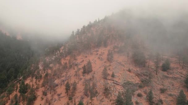 Low Push Sparse Trees Logs Cheyenne Canyon Peak Covered Mist — Stock video