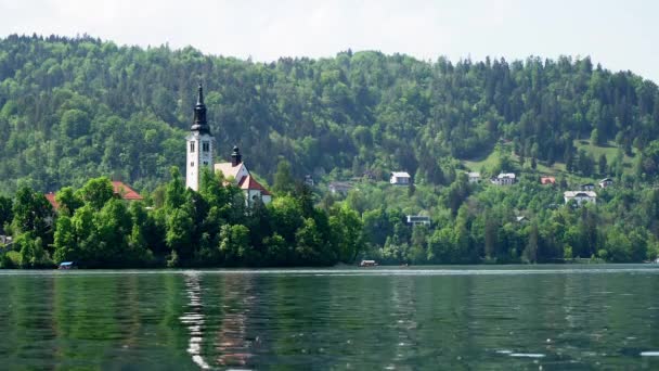 Nice Hot Summer Day Calm Lake Bled Slovenia Church Middle — Stockvideo