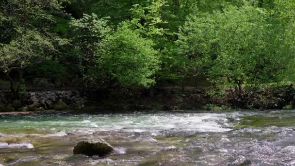 Kristallklares Wasser Fließt Einen Fluss Mit Felsen Hinunter — Stockvideo