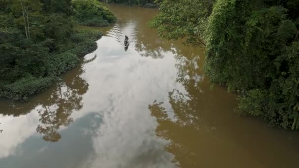 Widok Lotu Ptaka Rzekę Amazonkę Bujną Roślinnością Ekwadorze Strzał Drona — Wideo stockowe