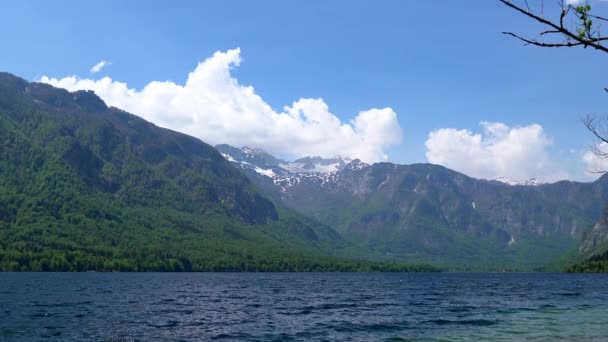 Tranquillo Giorno Estate Tranquillo Lago Bohinj Con Alpi Europee Sullo — Video Stock