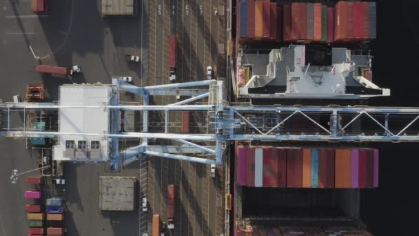 Blick Über Den Kopf Von Portalkran Der Frachtcontainer Mit Lkw — Stockvideo