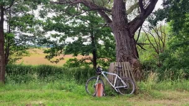 Sports Mountain Bike Standing Nature Biker Took Break Old Oak — Vídeo de stock