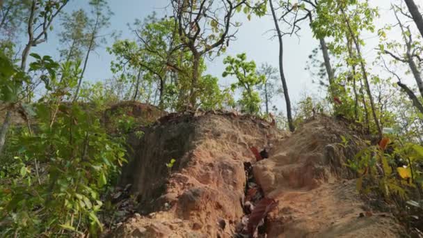 Imagens Cinematográficas Paisagem Uma Serena Vista Panorâmica Cânion Pai Com — Vídeo de Stock