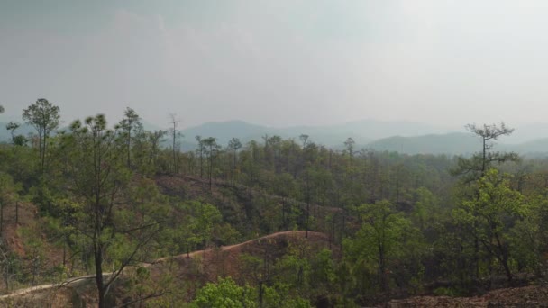 Kinematiske Landskapsbilder Fredfull Naturskjønt Utsikt Pai Canyon Med Smale Ledgjorte – stockvideo