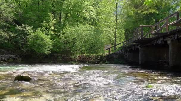 Crystal Clear Water Flowing Gentle Stream Bridge — Vídeos de Stock