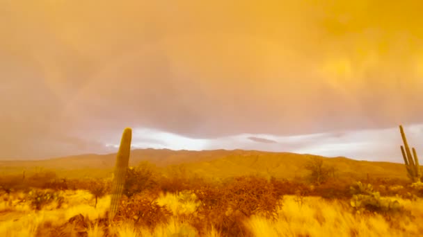 Monsoon Storm Sunset Arizona Desert Full Rainbow Panning Shot — Vídeos de Stock