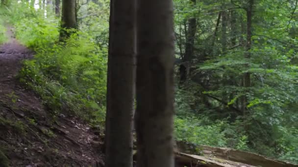 Junger Mann Der Barfuß Geht Wirft Ein Kleines Flussbett Und — Stockvideo