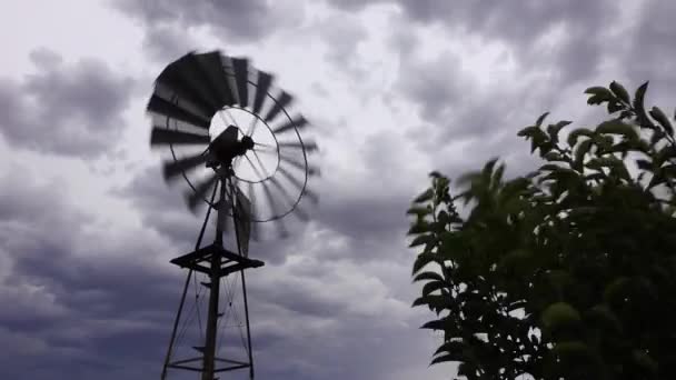 Windmills Great Karoo — Vídeo de Stock