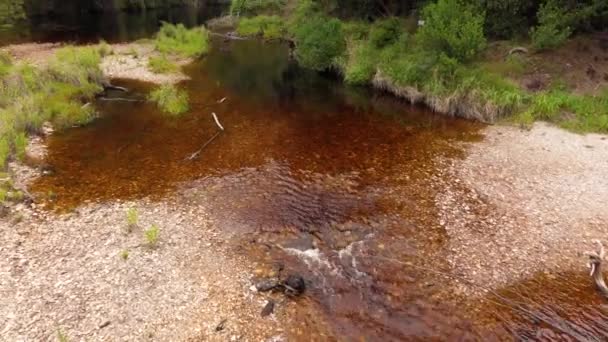 Ruscelli Montani Della Foresta Pluviale — Video Stock