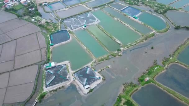 Drone Footage Shrimp Farms Vietnam Tuy City Aerial Shot — стоковое видео