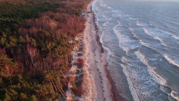 Grandi Onde Con Creste Bianche Stendono Una Spiaggia Sabbiosa Delimitata — Video Stock