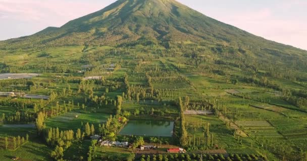 Aerial View Green Mount Sindoro Lake Sunny Day Evening Water — Stockvideo