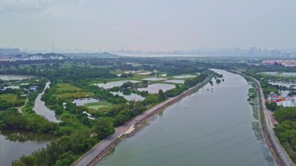 Dynamic Descending Aerial Footage Green Farm Yuen Long Hong Kong — Stock Video