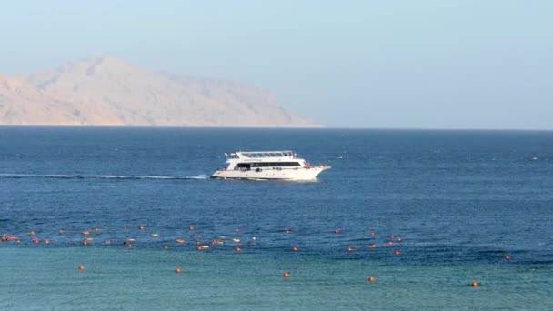 Yacht Crusing Sea Desert Sandy Island Background Red Sea Sharm — Stock videók