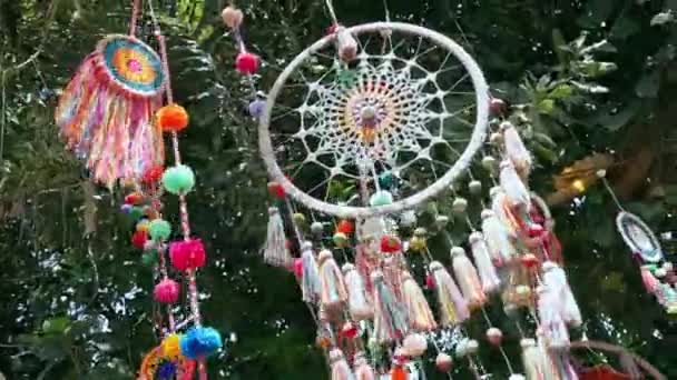 Multicolored Dream Catcher Hanging Tree Swaying Wind Handheld Low Angle — Vídeo de Stock