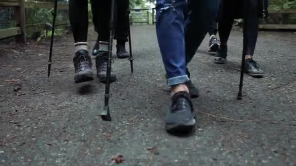 Close Shot Feet Group Hikers Walking Close Each Other Natural — ストック動画