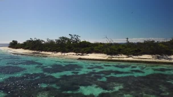 Flyover Sailboat Anchored Beautiful Deserted Tropical Island New Caledonia — Stockvideo