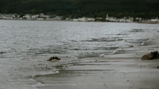 Onde Sulla Spiaggia Città Mare Sullo Sfondo — Video Stock