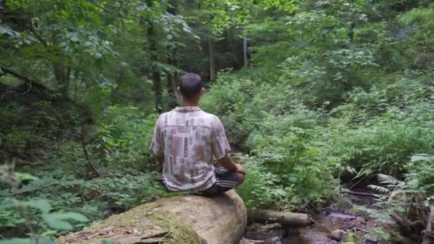 Young Man Sitting Lotus Position Fallen Tree Little River Beautiful — Video Stock