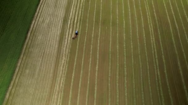 Bovenaanzicht Vanuit Lucht Van Een Trekker Ploegend Landbouwveld Drone Neergeschoten — Stockvideo