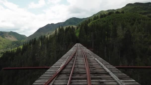 High Steel Bridge Washington State National Park Aerial Footage Fps — Stock Video