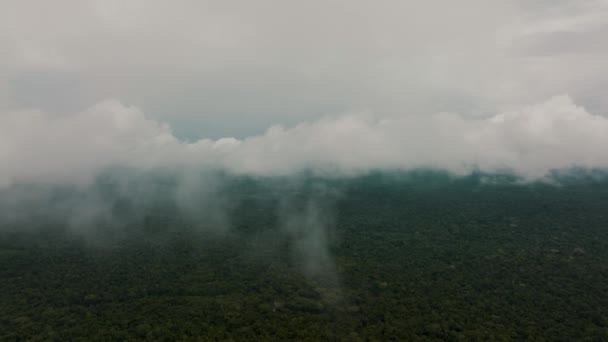 Воздушный Полет Через Густые Серые Облака Над Коричневой Рекой Амазонки — стоковое видео