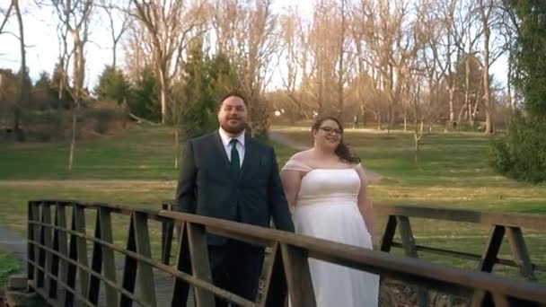 Newly Married Couple Walking Nature Creek Bridge Forest — Stockvideo