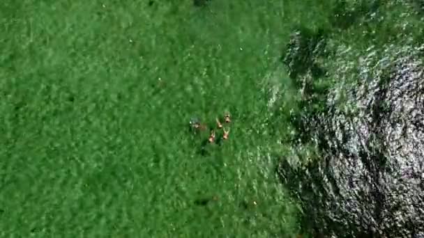 Aerial View People Swimming Turtle Bay Akumal Paradise Bay Beach — Video