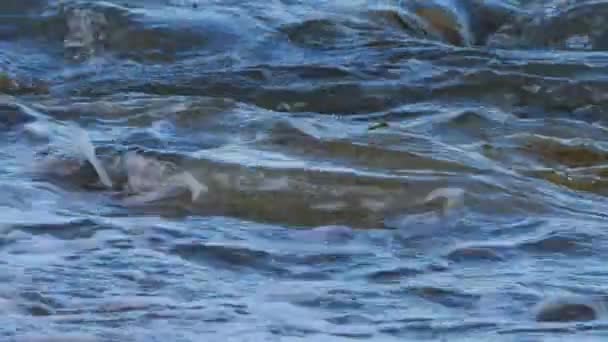 Ondas Passando Por Cima Rochas Estepona Espanha Fechar Movimento Lento — Vídeo de Stock