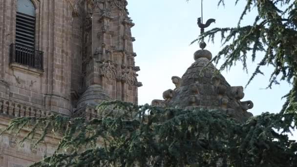 Romanesque Structure Historical Building Salamanca Castilla Len Spain — Video Stock