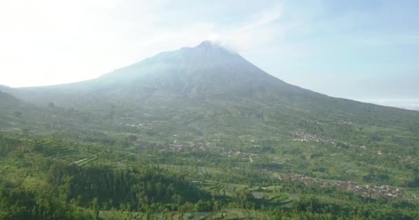 Lambat Penerbangan Maju Melalui Perkebunan Pedesaan Dengan Merapi Volcano Latar — Stok Video