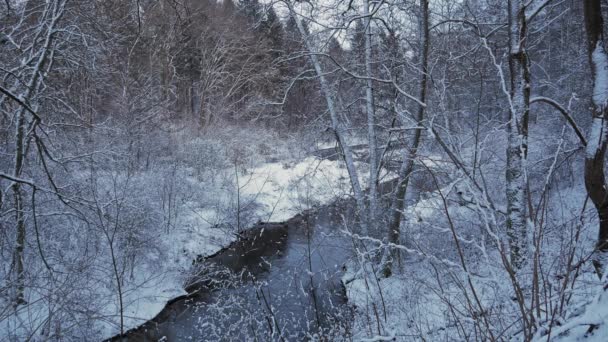 Monocromo Río Symsarna Fluyendo Bosque Invierno Lidzbark Warmiski Polonia Disparo — Vídeo de stock