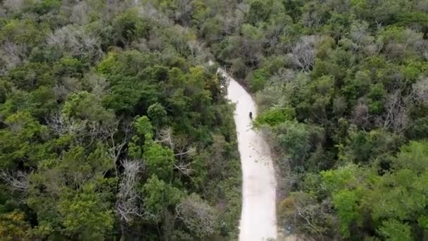 Aerial Shot Shot Motorbike Driving Dirt Road Surrounded Trees Akumal — Video