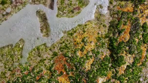 Piękne Zbliżenie Nagranie Beach Waves Uderzające Mossy Rocks — Wideo stockowe